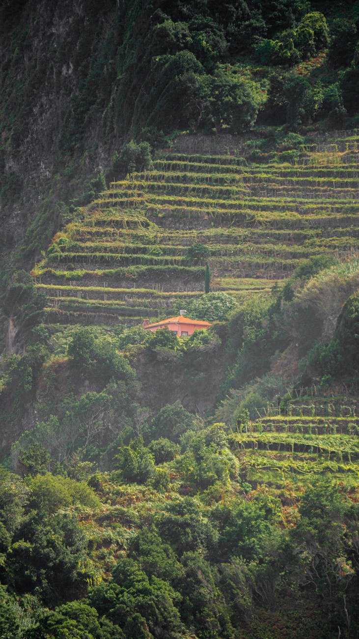 Sentiero Valtellina: para disfrutarlo, sin más